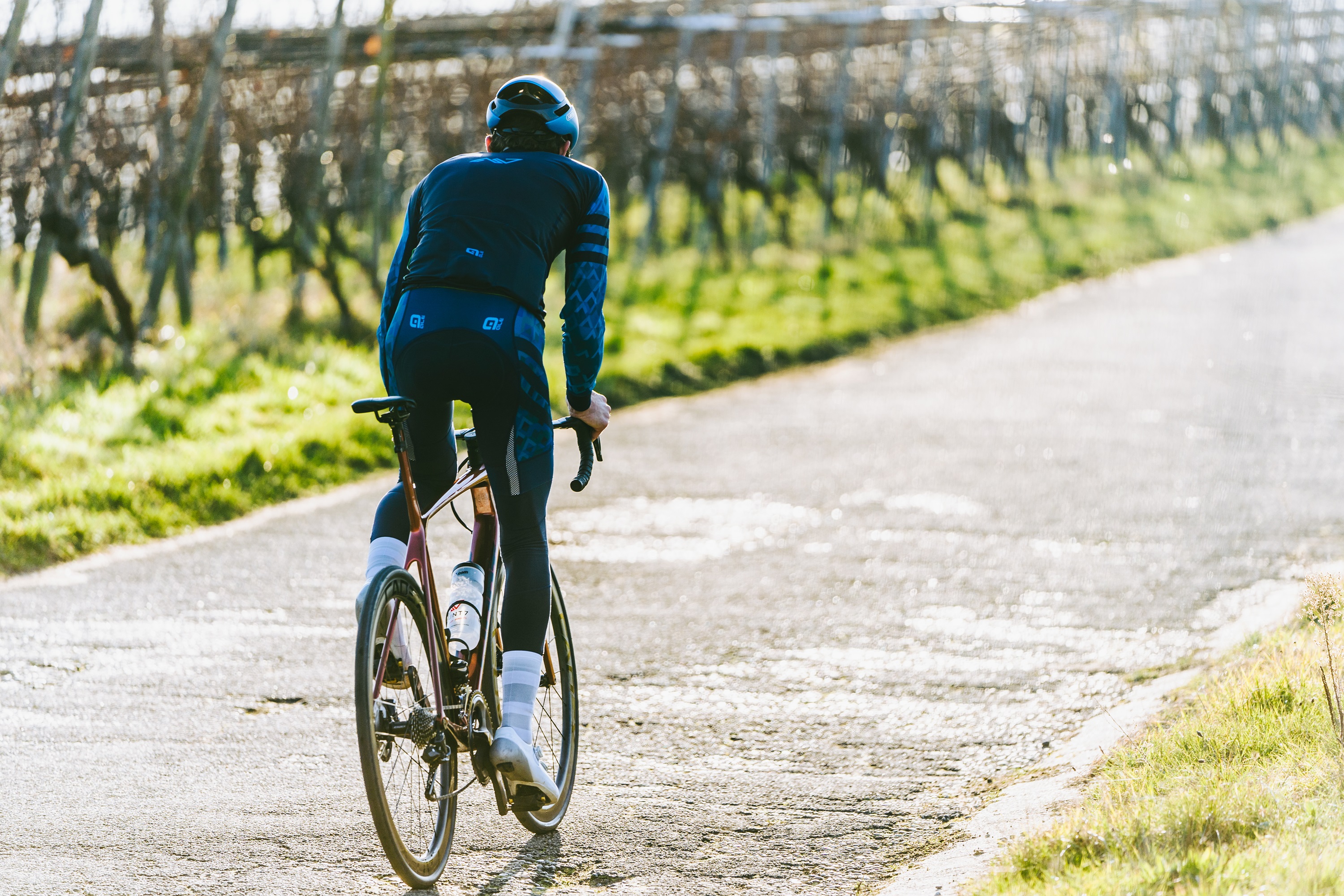 Clemens und das TCR in den Weinbergen