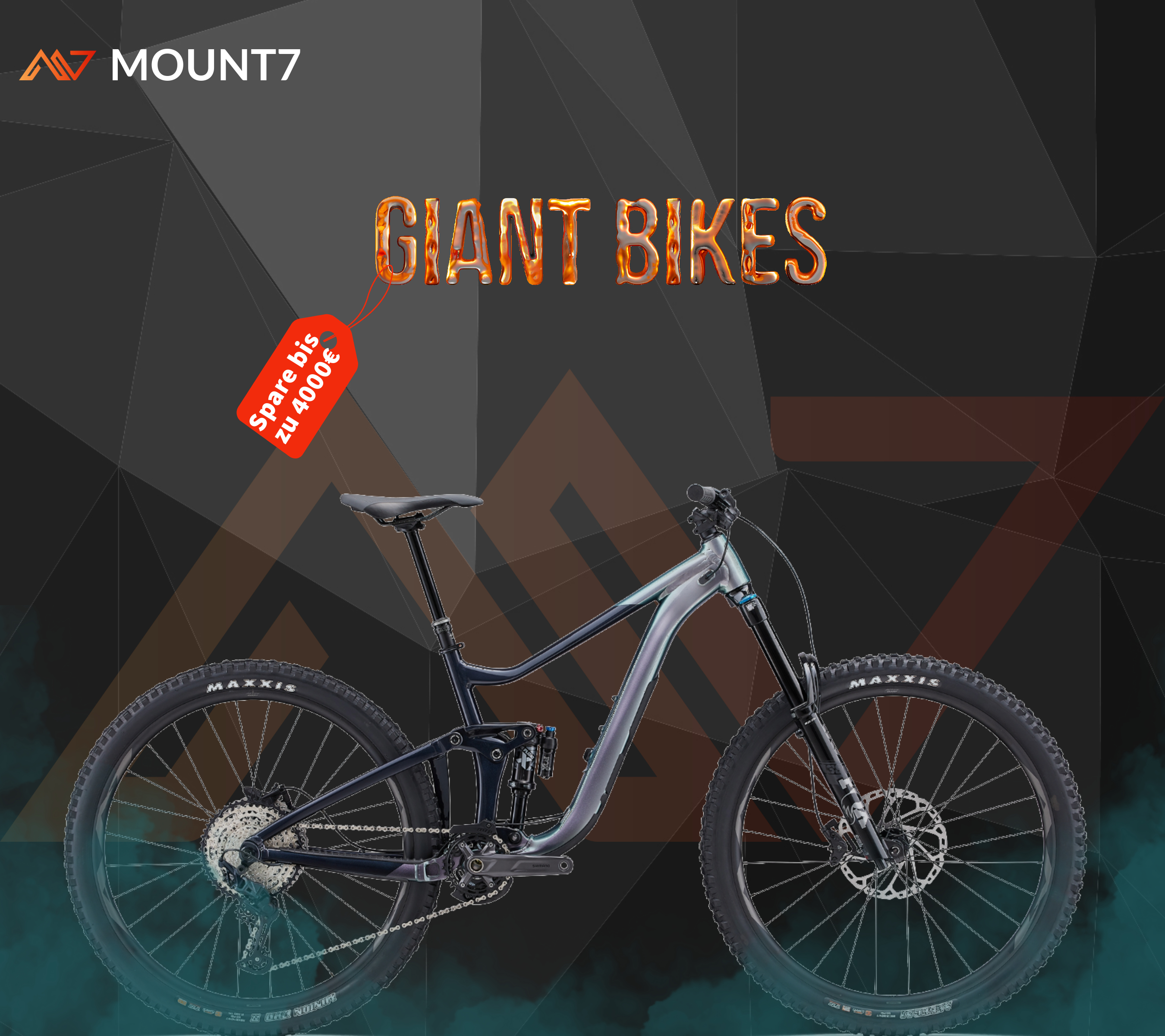 Giant Bikes reduziert