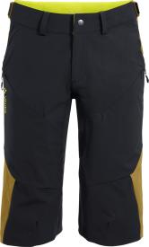 Vaude Men's Moab Shorts IV 