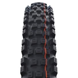 Schwalbe Eddy Current Rear 